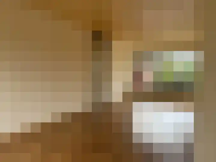 Botter 20 Lemmer thumbnail 10