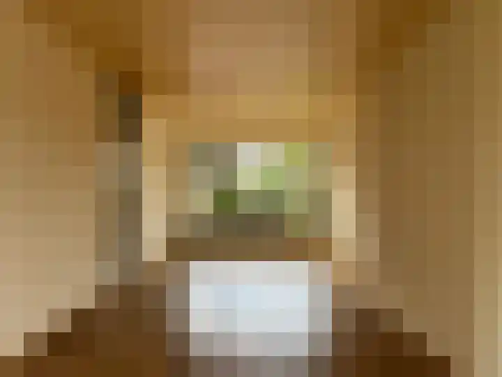 Botter 20 Lemmer thumbnail 9