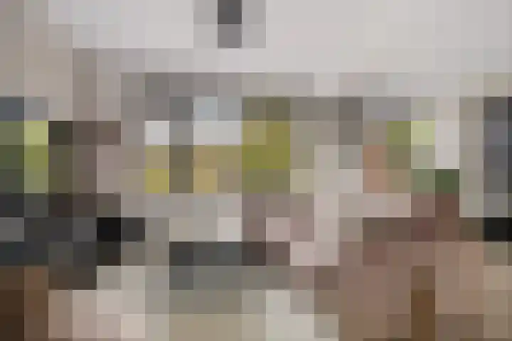 Botter 22 22 40 Lelystad thumbnail 14