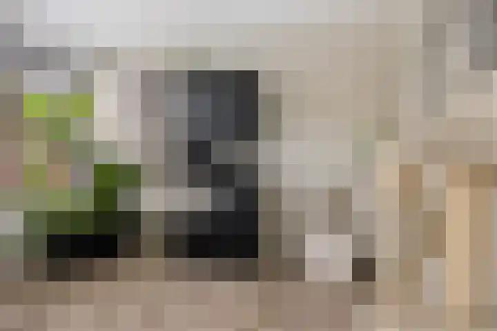Botter 22 22 40 Lelystad thumbnail 15