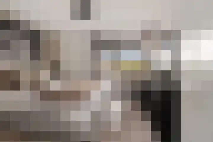 Botter 22 22 40 Lelystad thumbnail 18