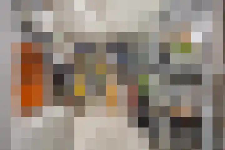 Botter 22 22 40 Lelystad thumbnail 33