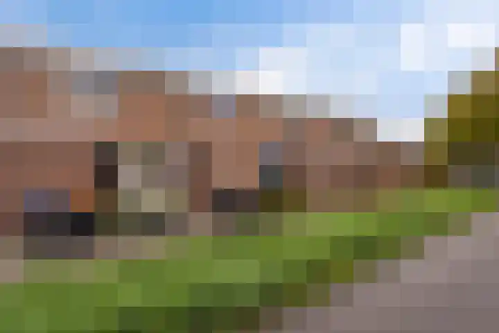 Botter 22 22 40 Lelystad thumbnail 34