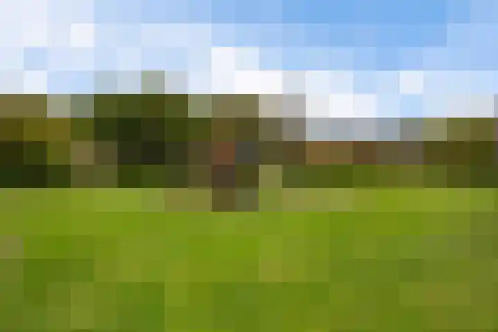 Botter 22 22 40 Lelystad thumbnail 35