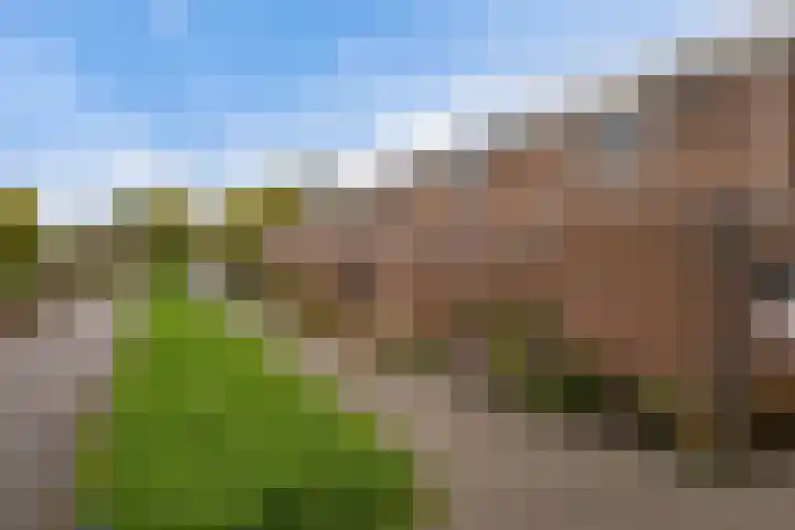 Botter 22 22 40 Lelystad thumbnail 4