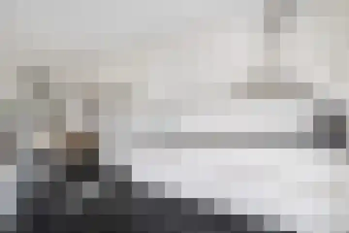 Botter 24 24 25 Lelystad thumbnail 14