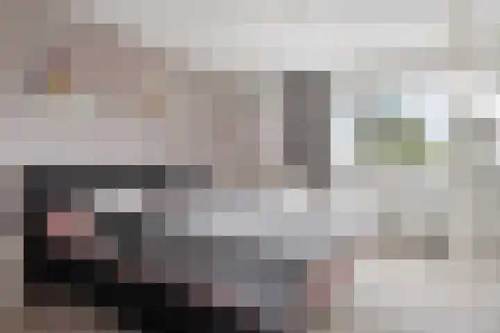 Botter 24 24 25 Lelystad thumbnail 16