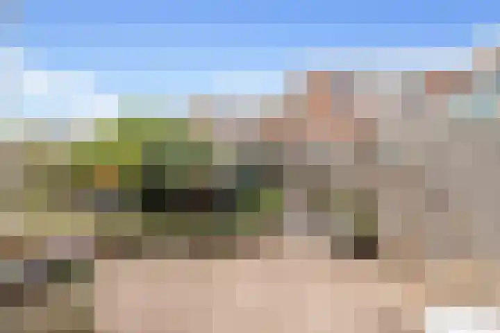 Botter 24 24 25 Lelystad thumbnail 21