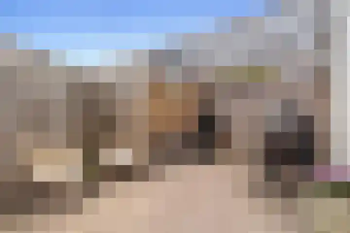 Botter 24 24 25 Lelystad thumbnail 27