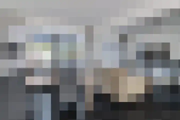 Botter 24 24 25 Lelystad thumbnail 6