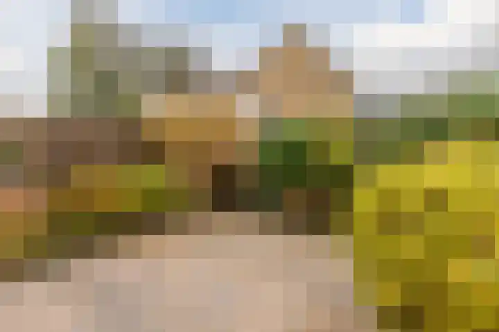 Botter 24 Barendrecht thumbnail 4