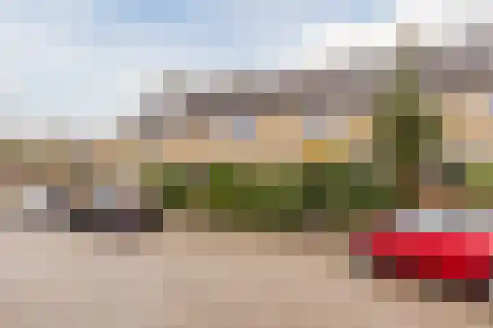 Botter 24 Barendrecht thumbnail 6