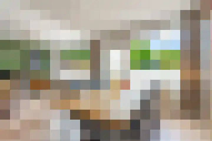 Botter 25 25 25 Lelystad thumbnail 10