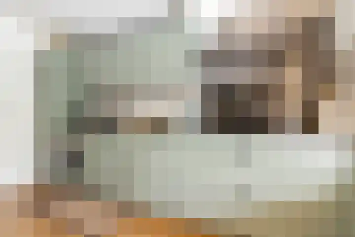 Botter 25 25 25 Lelystad thumbnail 11