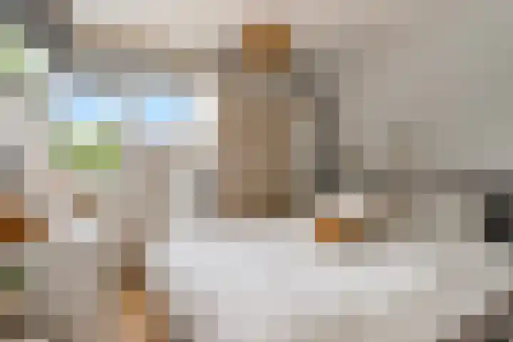 Botter 25 25 25 Lelystad thumbnail 18