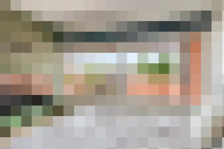 Botter 25 25 25 Lelystad thumbnail 22