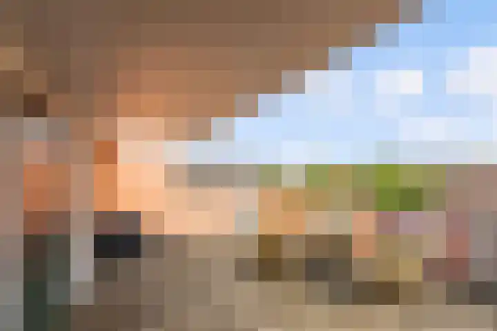 Botter 25 25 25 Lelystad thumbnail 25