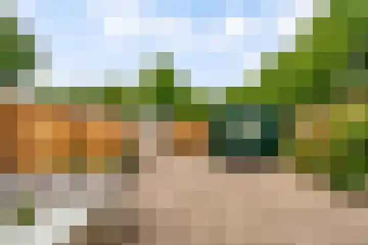 Botter 25 25 25 Lelystad thumbnail 27