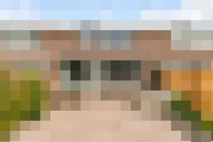 Botter 25 25 25 Lelystad thumbnail 28