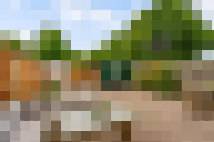 Botter 25 25 25 Lelystad thumbnail 29