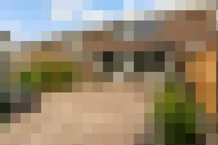 Botter 25 25 25 Lelystad thumbnail 30
