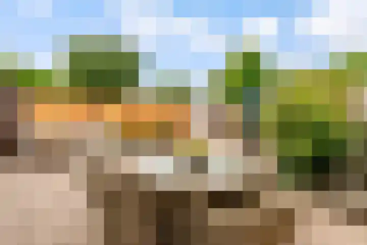 Botter 25 25 25 Lelystad thumbnail 31