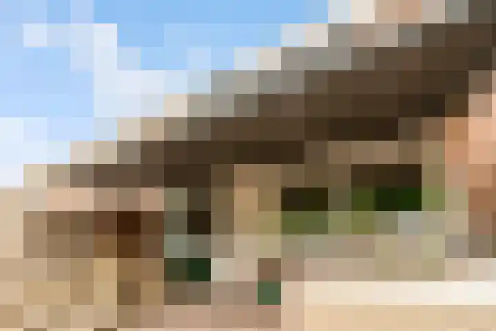 Botter 25 25 25 Lelystad thumbnail 32