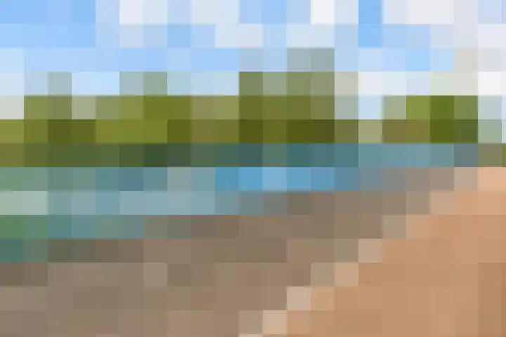 Botter 25 25 25 Lelystad thumbnail 35