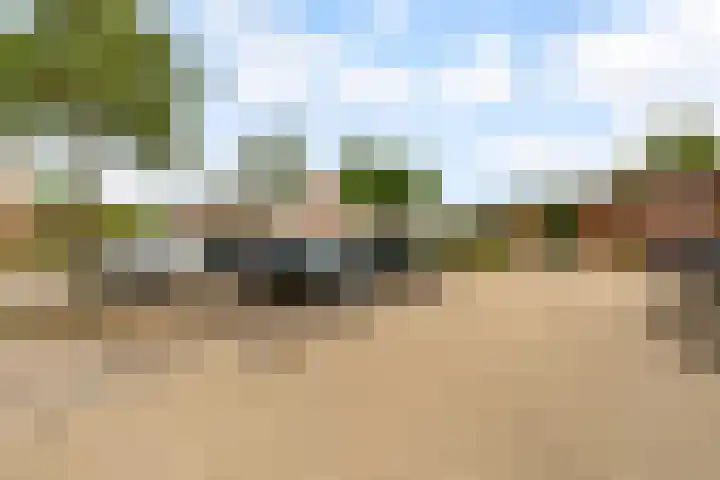 Botter 25 25 25 Lelystad thumbnail 36