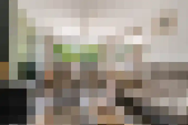 Botter 25 25 25 Lelystad thumbnail 5
