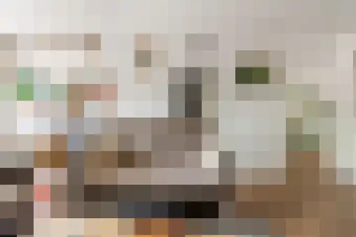 Botter 25 25 25 Lelystad thumbnail 6