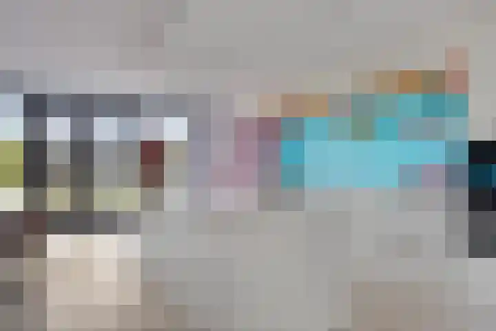 Botter 25 Meppel thumbnail 13