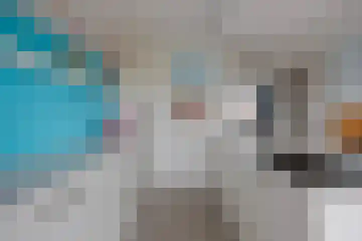 Botter 25 Meppel thumbnail 14