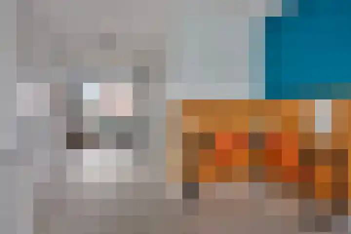 Botter 25 Meppel thumbnail 18