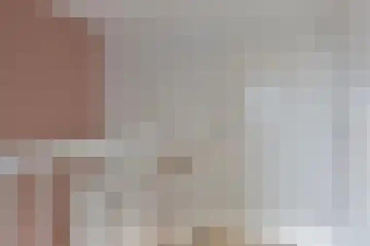 Botter 25 Meppel thumbnail 19