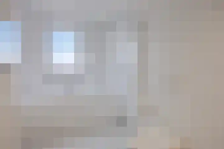 Botter 25 Meppel thumbnail 27