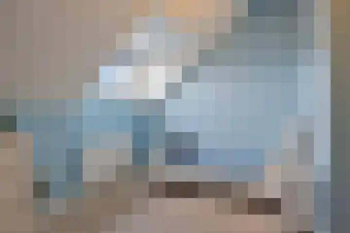 Botter 25 Meppel thumbnail 29