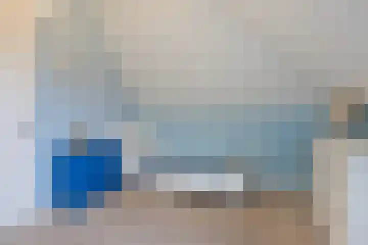 Botter 25 Meppel thumbnail 30