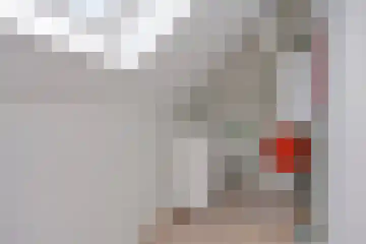 Botter 25 Meppel thumbnail 32