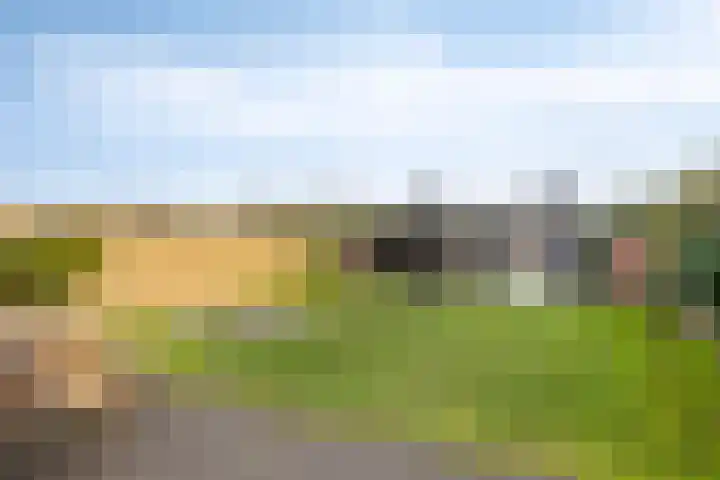 Botter 25 Meppel thumbnail 34