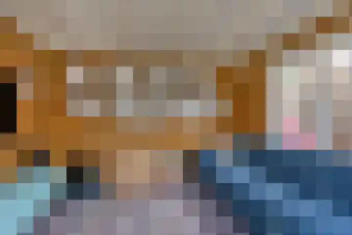 Botter 25 Meppel thumbnail 37