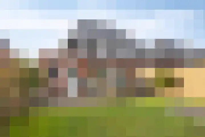 Botter 25 Meppel thumbnail 38