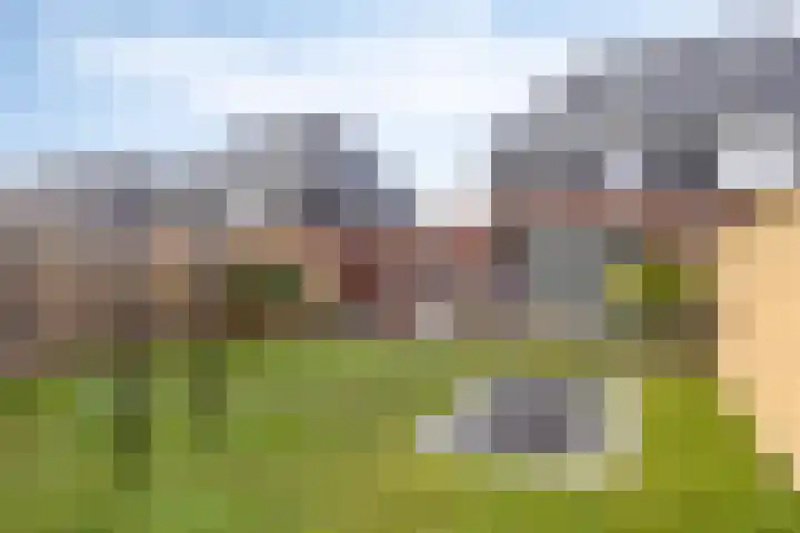 Botter 25 Meppel thumbnail 39
