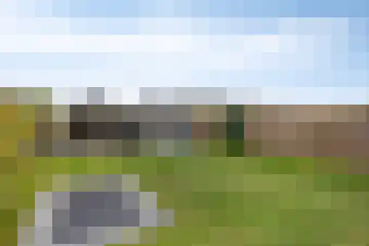 Botter 25 Meppel thumbnail 4