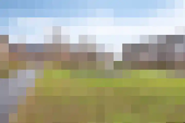 Botter 25 Meppel thumbnail 41