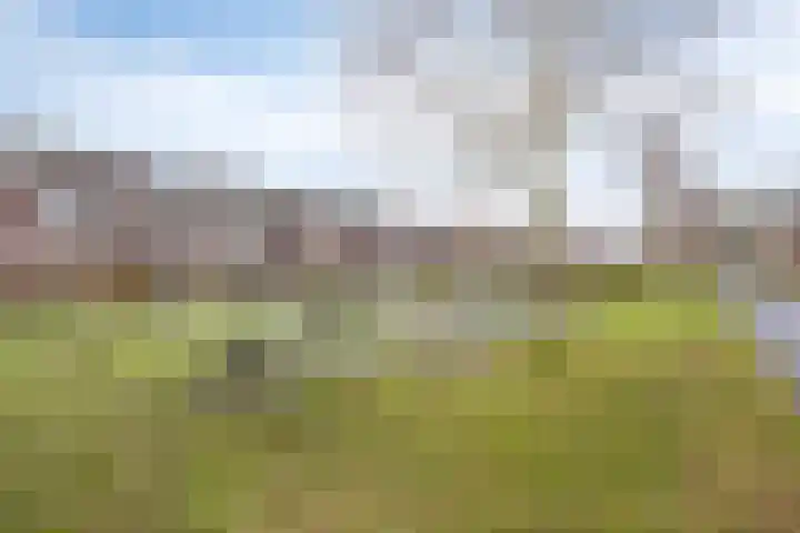 Botter 25 Meppel thumbnail 42