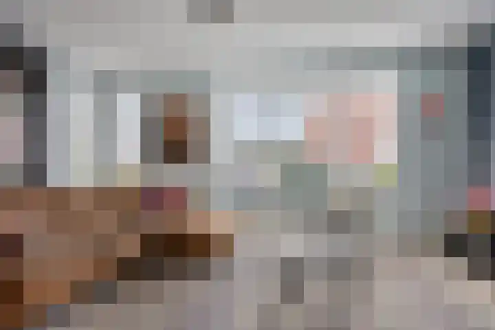 Botter 25 Meppel thumbnail 6