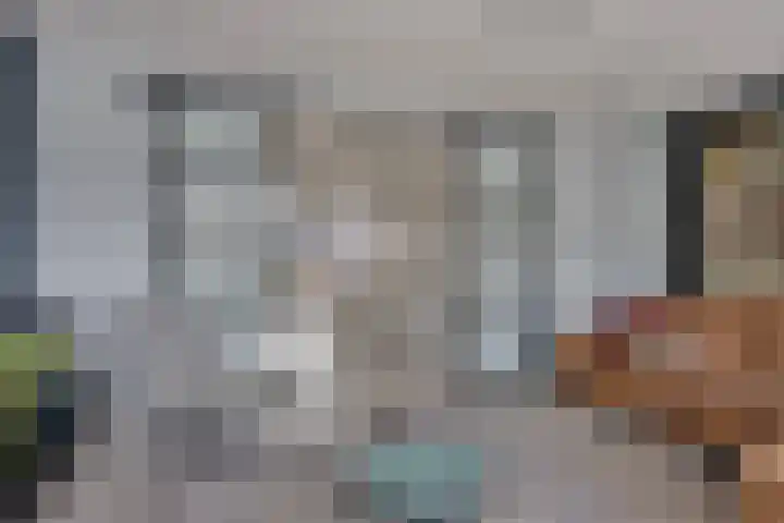 Botter 25 Meppel thumbnail 9