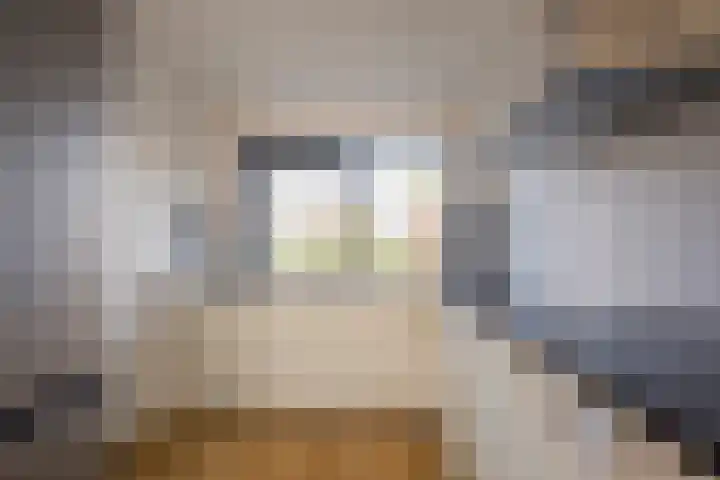 Botter 26 Nijkerk thumbnail 10