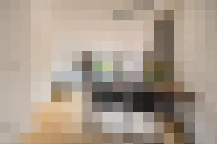 Botter 26 Nijkerk thumbnail 13